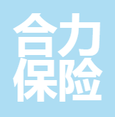 四川合力保險(xiǎn)代理有限公司